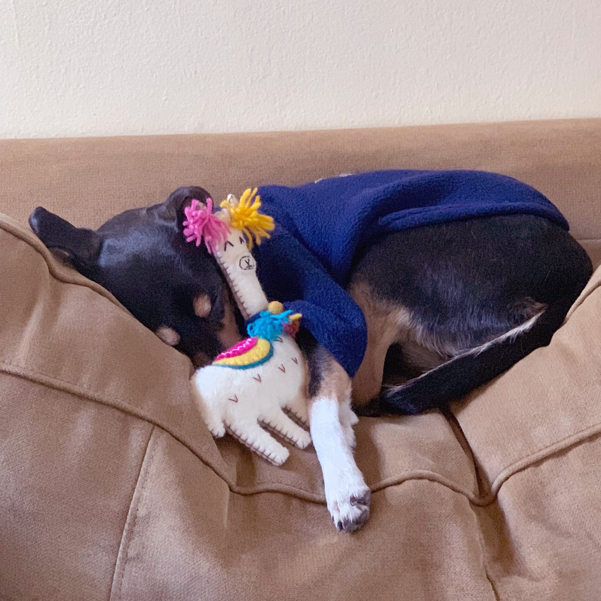 Llama Squeaker Toy
